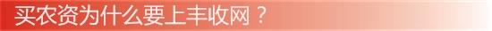 为什么上丰收网.jpg